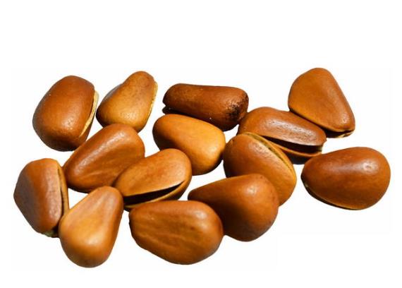 吃松子有助睡眠吗