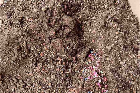 土养兰花到底好不好