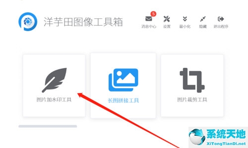 洋芋的画法(洋芋地照片)