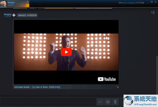steam聊天效果怎么用(steam聊天在哪)