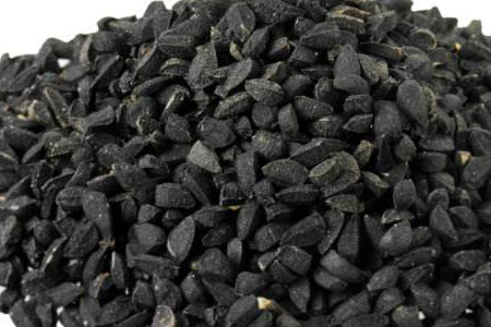 水培洋葱怎么种植