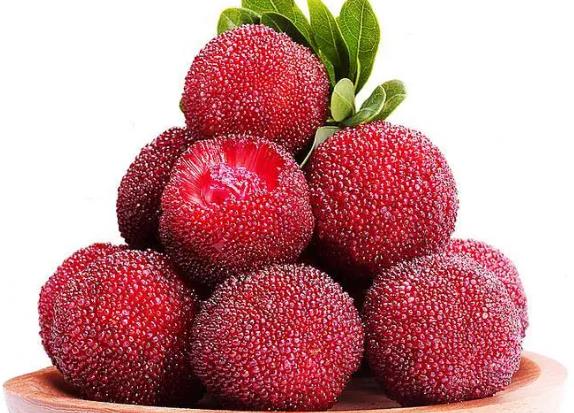 哪些人不适合吃杨梅热性体质者糖尿病患者龋齿者(什么人不适合吃杨梅)