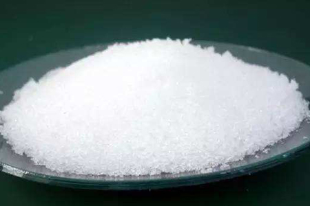 银手指怎样养才能开花