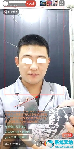 赛鸽头条新闻(下载赛鸽头条)