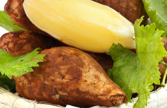 吃雪莲果就拉肚子