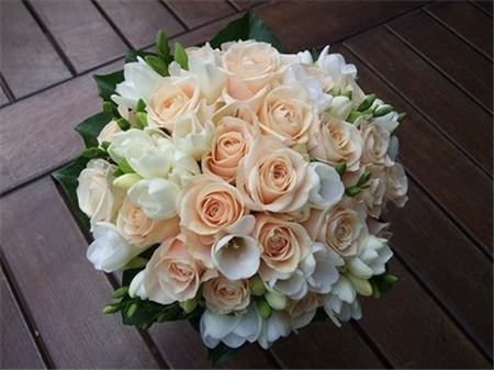 真正的玫瑰有几种