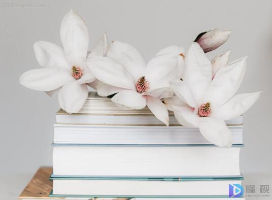 高二语文教师心得体会(高中语文教师心得)