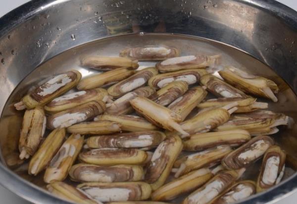 蛏子的死了还能吃吗