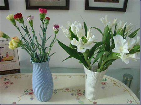 姜花的养殖方法和注意事项视频