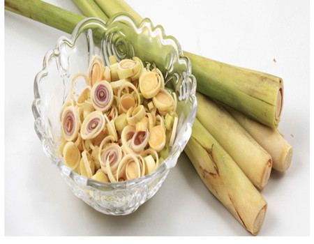 香茅的功效作用与主治