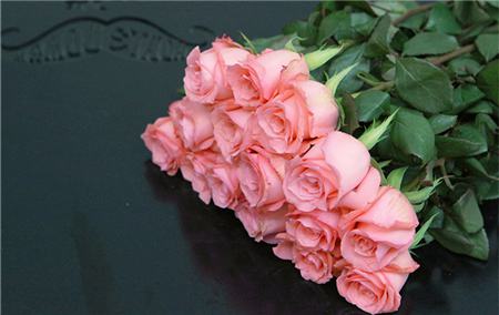 真正的玫瑰有几种