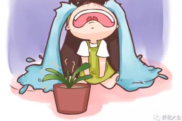 这些花夏天你就别养了一养一个死！(夏天什么花好养活)