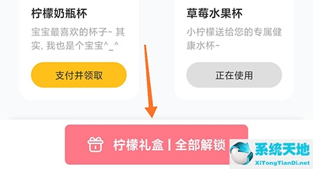 用柠檬杯怎么泡柠檬水(柠檬水杯怎么用)