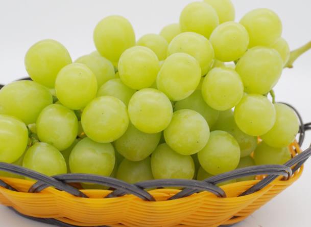 阳光玫瑰葡萄无籽安全吗