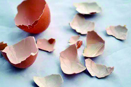 芦荟可以用鸡蛋壳做肥料吗