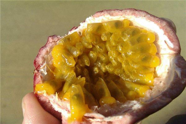 种花种菜不如种果,能吃能赏能卖钱(种菜比种花好)