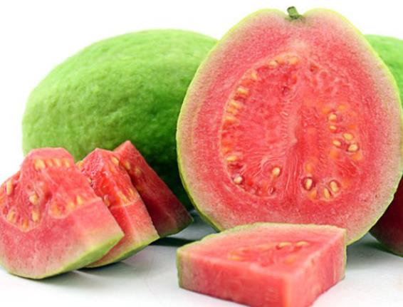 番石榴不熟能放熟吗