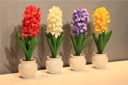 红色的风信子花语