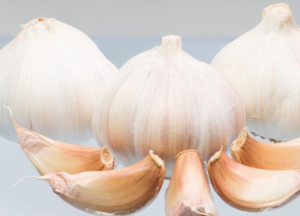大蒜吃了可以减肥吗怎么吃大蒜减肥(吃大蒜减肥还是增肥)