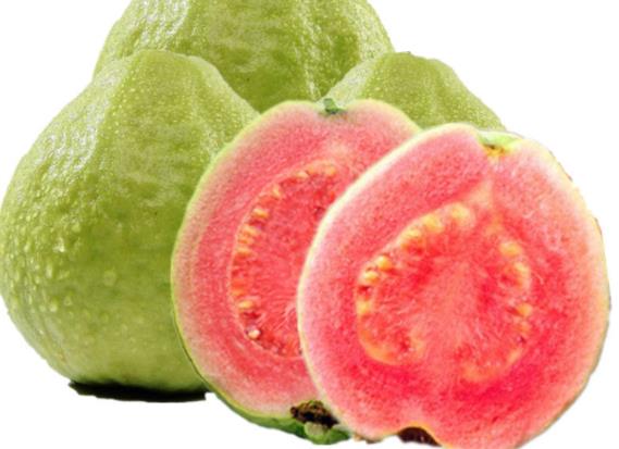 番石榴不熟怎么办番石榴怎么看熟没熟(番石榴不熟能放熟吗)