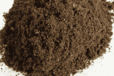 金合欢的功效与作用