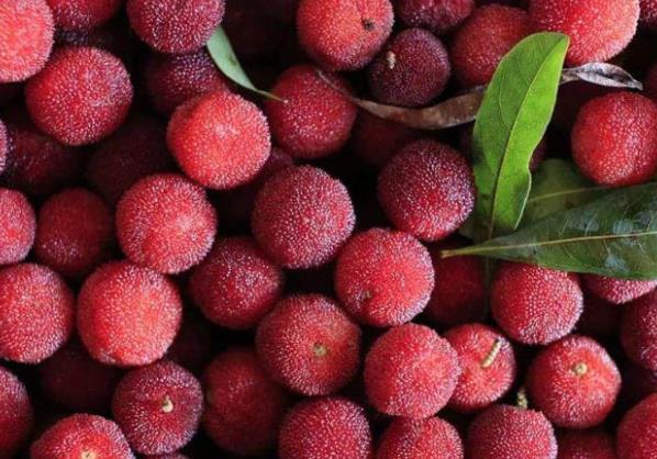 杨梅长白毛洗掉还能吃吗