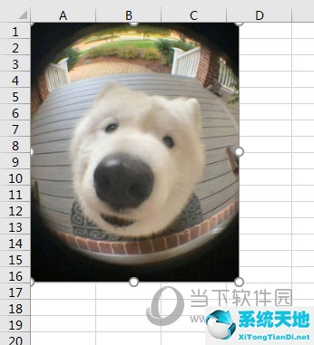 excel2007怎么把图片嵌入到单元格里(excel2019怎么把图片嵌入到单元格里)