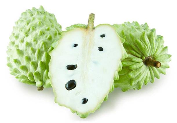 释迦果母乳期妈妈能吃不