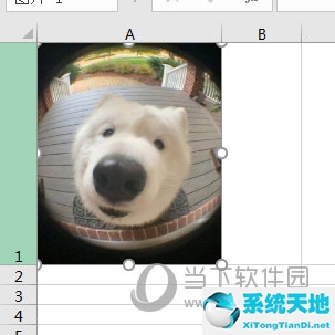 excel2007怎么把图片嵌入到单元格里(excel2019怎么把图片嵌入到单元格里)