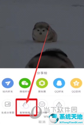 小红书怎么复制链接保存图片(小红书链接怎么复制到微信)