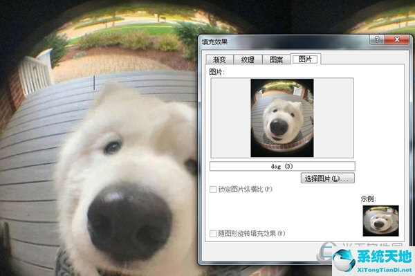 word2016背景图片设置在哪?(office2016word设置背景图片)