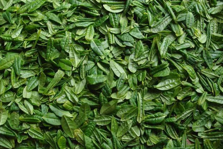 华方苑六安瓜片价格