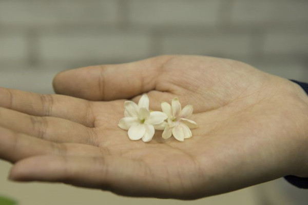 这些花不仅颜值高而且还能帮你美容养颜(哪些花可以美容养颜)