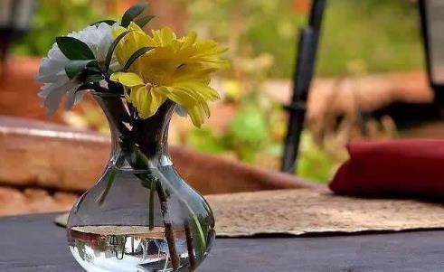 生根剂什么原理