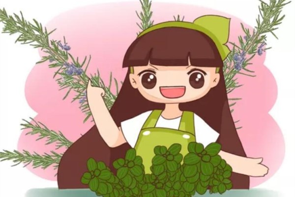 这4种花叶子一碰一揉香气飘满屋堪比清新剂！(什么花的叶子)