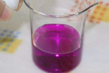 茉莉枯死的枝条还能发芽吗