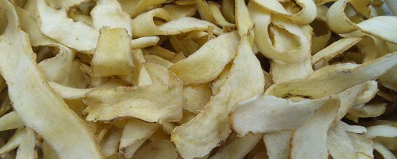 玉竹价格多少钱一斤(玉竹多少钱一斤2020)