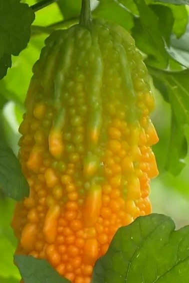 车子的刹车踩起来比以前软