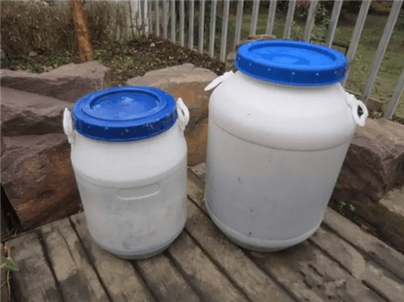 绿萝出现黄叶烂根怎么办