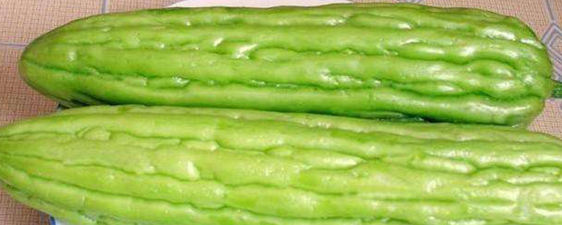 苦瓜种植技术(苦瓜种植技术与管理方法)