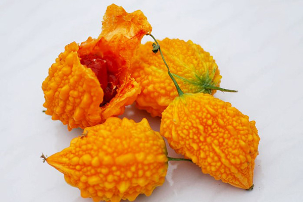 这种“黄苦瓜”以前遍地是现在都没卖的吃起来“甘甜”耐人寻味！(车子的刹车踩起来比以前软)