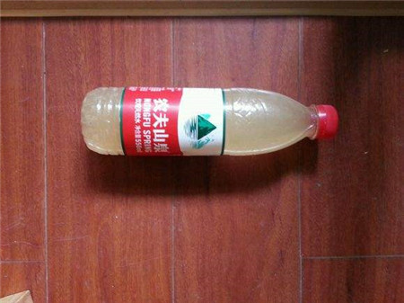 绿萝出现黄叶烂根怎么办