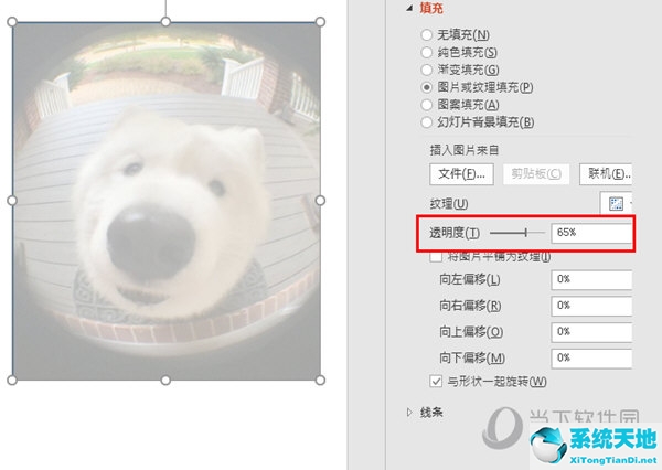 在ppt中设置图片透明度(ppt2003图片透明度设置)