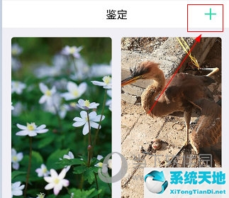 识物app是真的吗(识物鉴别可靠吗)