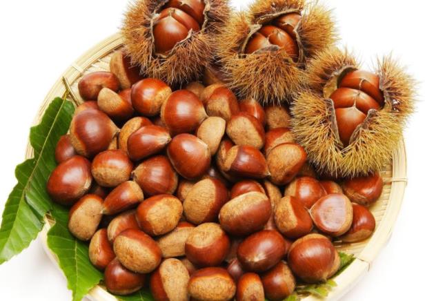 板栗发苦能吃吗如何挑选好的栗子(板栗发苦还能吃吗)
