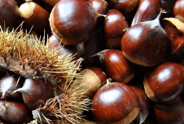 板栗发苦还能吃吗