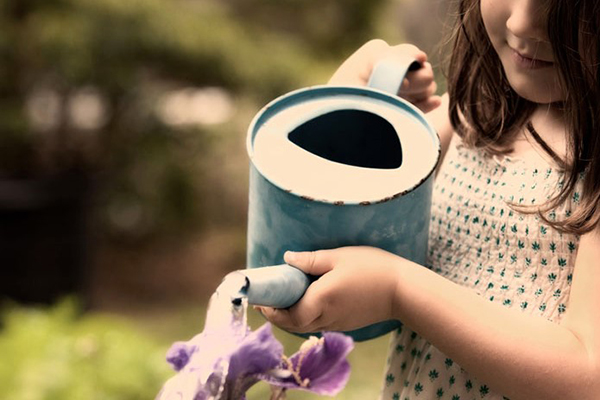 这3种花最爱“喝水”每天来一点几月能长得撑爆盆！(什么花喝的水最多)