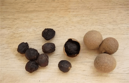 花生壳和瓜子皮可以做花肥吗