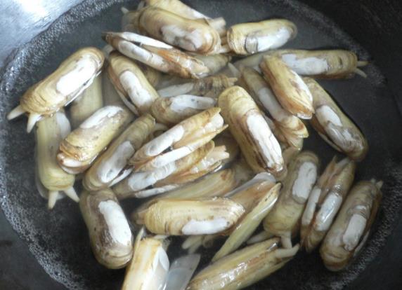 蛏子里面哪里不能吃