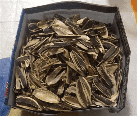 花生壳和瓜子皮可以做花肥吗